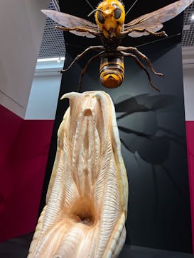 特別展「毒」に投稿された画像（2023/5/11）