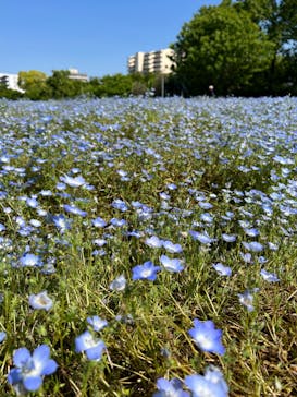 特別展「毒」に投稿された画像（2023/5/11）