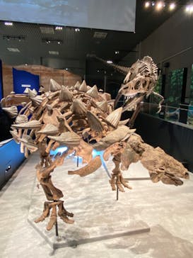 特別展「恐竜博2023」に投稿された画像（2023/5/11）