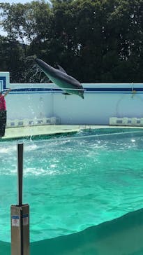 しながわ水族館に投稿された画像（2023/5/11）