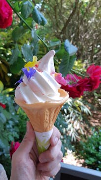 横浜イングリッシュガーデンに投稿された画像（2023/5/11）