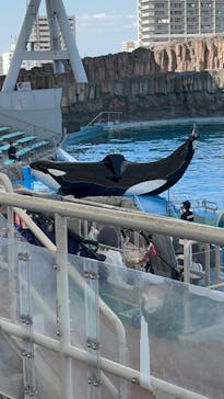 名古屋港水族館に投稿された画像（2023/5/11）