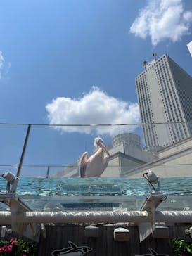 サンシャイン水族館に投稿された画像（2023/5/11）