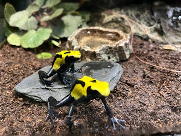 サンシャイン水族館に投稿された画像（2023/5/11）