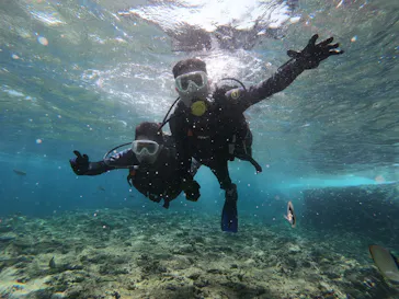 武藤潜水に投稿された画像（2023/5/12）