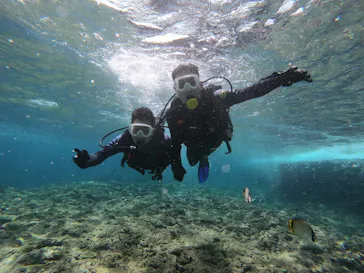武藤潜水に投稿された画像（2023/5/12）