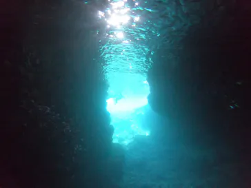 武藤潜水に投稿された画像（2023/5/12）