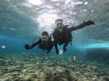 武藤潜水に投稿された画像（2023/5/12）