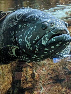 株式会社Gに投稿された画像（2023/5/12）