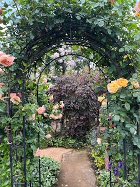 横浜イングリッシュガーデンに投稿された画像（2023/5/12）