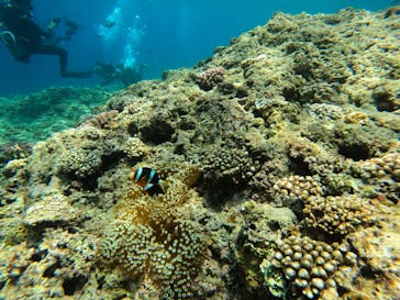 沖縄マリンサービス碧に投稿された画像（2023/5/12）