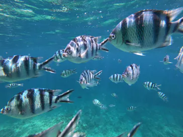 武藤潜水に投稿された画像（2023/5/12）