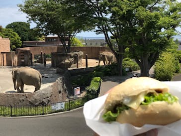 日立市かみね動物園に投稿された画像（2023/5/12）