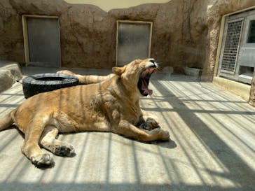 日立市かみね動物園に投稿された画像（2023/5/12）