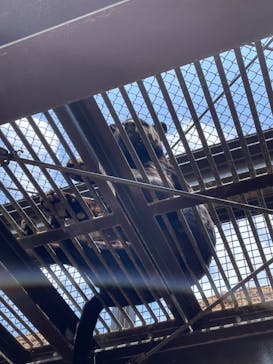 日立市かみね動物園に投稿された画像（2023/5/12）