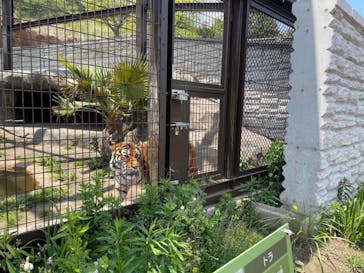 日立市かみね動物園に投稿された画像（2023/5/12）