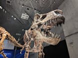 特別展「恐竜博2023」に投稿された画像（2023/5/12）