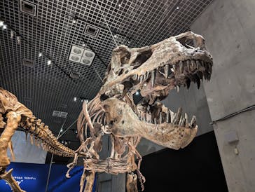 特別展「恐竜博2023」に投稿された画像（2023/5/12）