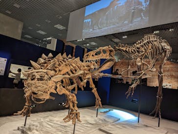 特別展「恐竜博2023」に投稿された画像（2023/5/12）