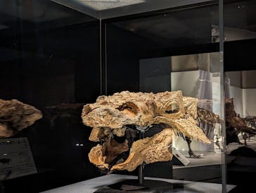 特別展「恐竜博2023」に投稿された画像（2023/5/12）