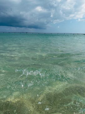 宮古島BLUE（ミヤコジマブルー）に投稿された画像（2023/5/12）