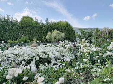 横浜イングリッシュガーデンに投稿された画像（2023/5/12）