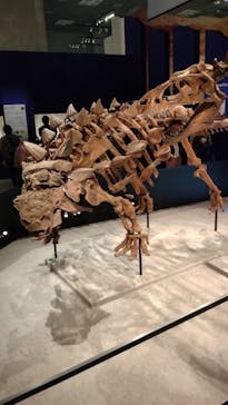 特別展「恐竜博2023」に投稿された画像（2023/5/12）