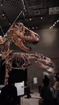 特別展「恐竜博2023」に投稿された画像（2023/5/12）