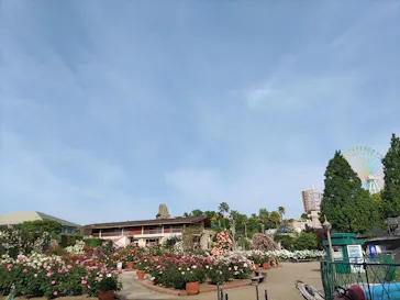 ひらかたパークに投稿された画像（2023/5/12）