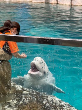 名古屋港水族館に投稿された画像（2023/5/12）