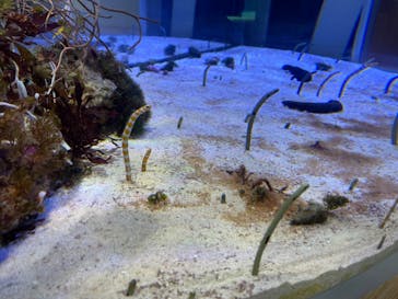 名古屋港水族館に投稿された画像（2023/5/12）