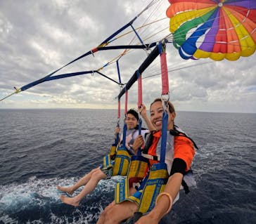 Sea World（シーワールド）に投稿された画像（2023/5/12）