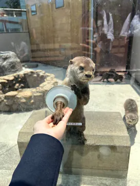 横浜・八景島シーパラダイスに投稿された画像（2023/5/12）