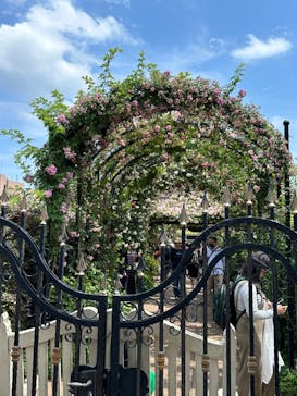 横浜イングリッシュガーデンに投稿された画像（2023/5/12）