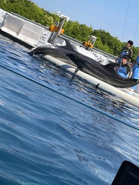 京都水族館に投稿された画像（2023/5/12）