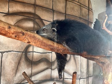 伊豆シャボテン動物公園に投稿された画像（2023/5/12）