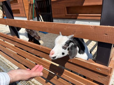 伊豆シャボテン動物公園に投稿された画像（2023/5/12）