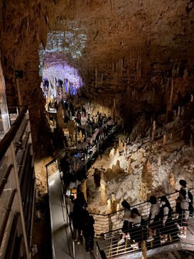 おきなわワールドに投稿された画像（2023/5/12）