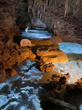 おきなわワールドに投稿された画像（2023/5/12）