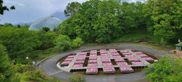 とっとり花回廊に投稿された画像（2023/5/7）