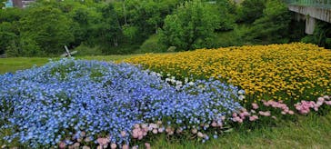 とっとり花回廊に投稿された画像（2023/5/7）