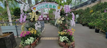 とっとり花回廊に投稿された画像（2023/5/7）