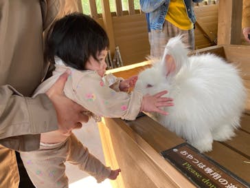 那須どうぶつ王国に投稿された画像（2023/5/12）