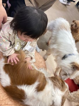 那須どうぶつ王国に投稿された画像（2023/5/12）