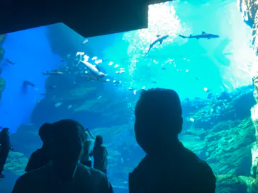 仙台うみの杜水族館に投稿された画像（2023/5/12）