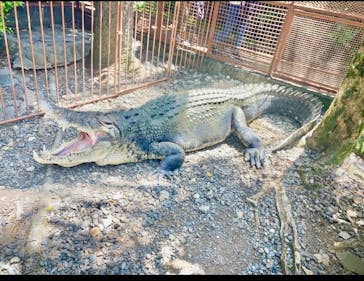 サンシャイン水族館に投稿された画像（2023/5/12）