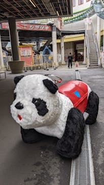 浅草花やしきに投稿された画像（2023/5/12）