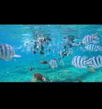 武藤潜水に投稿された画像（2023/5/13）