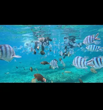 武藤潜水に投稿された画像（2023/5/13）