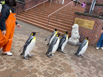 登別マリンパークニクスに投稿された画像（2023/5/13）